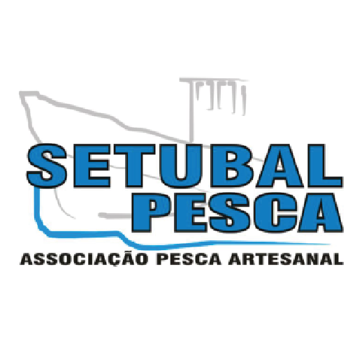 SetubalPesca_Prancheta 1